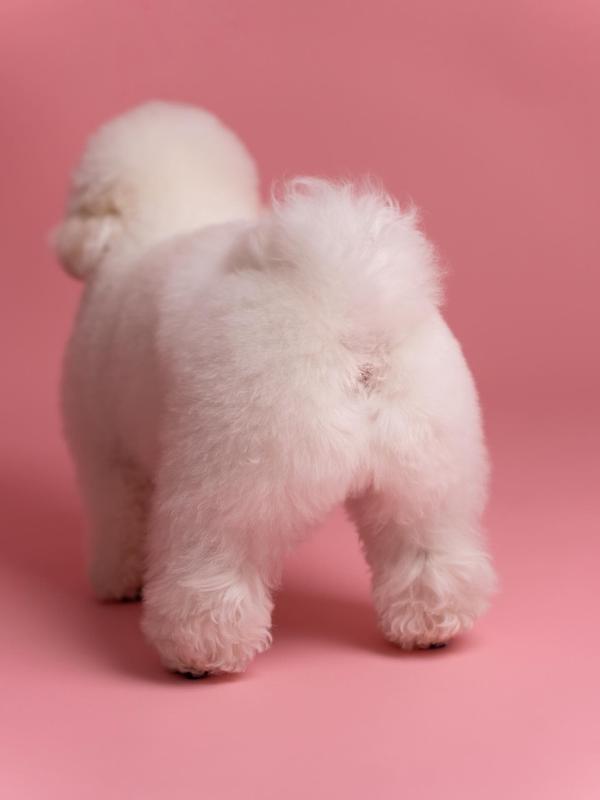 Sniff Snap 作品 10