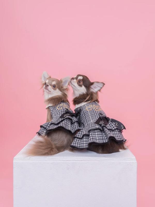 Sniff Snap 作品 14