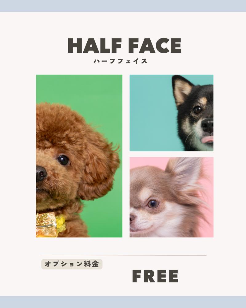 HALF FACE ハーフフェイス