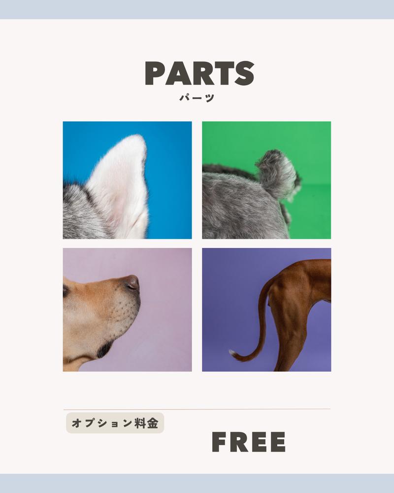 PARTS パーツ