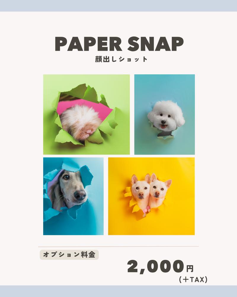 PAPER SNAP 顔出しショット