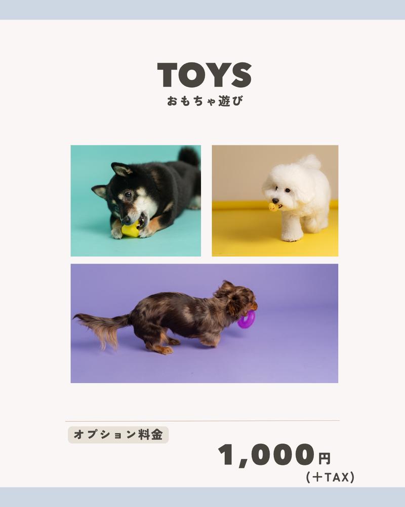 TOYS おもちゃ遊び