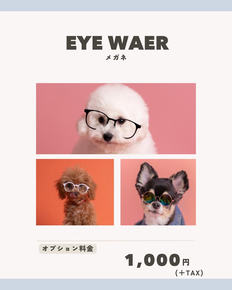 EYE WEAR メガネ